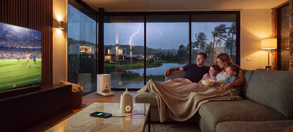 A Practical Guide for Homeowners Comparing Solar Panel Options